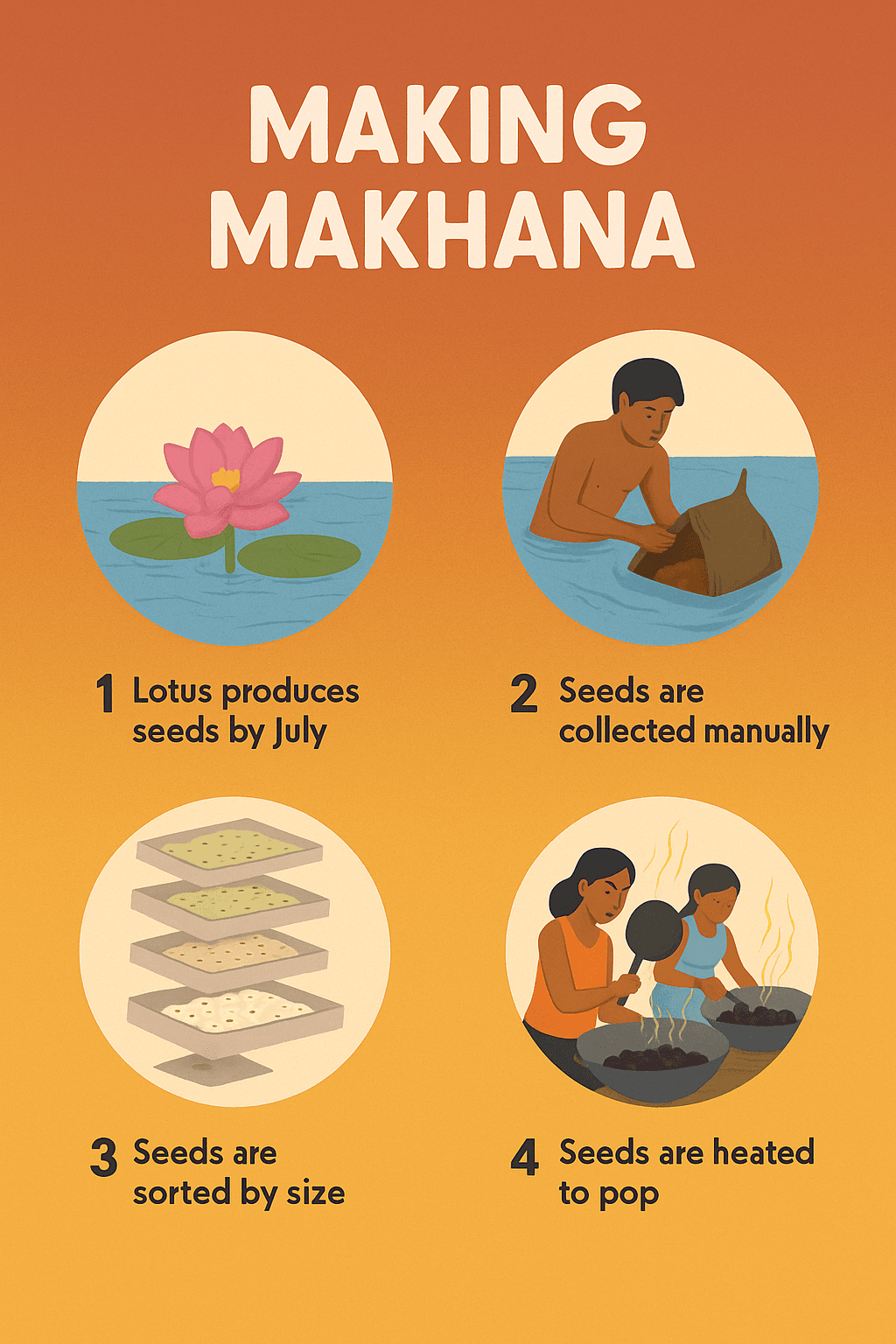 How Makhana is Made
